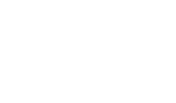 MacroLab